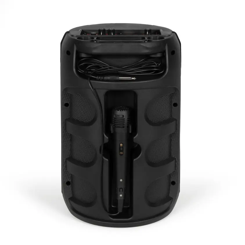 enceinte-karaoke-compatible-bluetoothR (2).webp